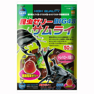 }J [[TCBIG48 16g 50 F-140  Ԃ Jug 킪 NK^ [[  F-140