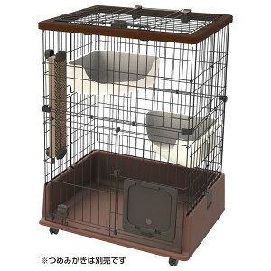 yeBI necoco eL̂ɂ҂ Lbg[T[N W24997 necoco lRR Lp P[W T[N  nEX W24997