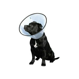 エリザベスカラー 衛生用品 犬用の人気商品 通販 価格比較 価格 Com エリザベスカラー 衛生用品 犬用の人気商品 通販 価格比較 価格 Com