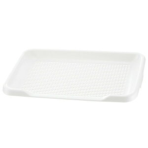 b`FiRichellj |ȒPXebvg[bVR 4973655599501 ybg gCpi gC g[ bV | ȒP