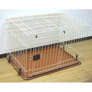 }J IINA hbO[ uE INM-119  hbO T[N P[W Q[W  [ INM-119