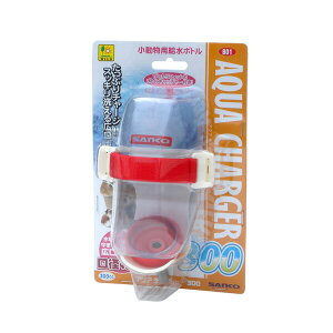 OW ANA`[W[ 300 B01    {g   B01