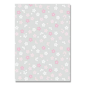 HEIKOiwCR[j OPP NX^pbN M-1 炼 50 006968080