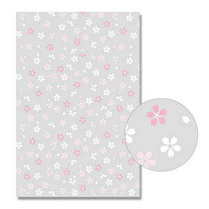 HEIKOiwCR[j OPP NX^pbN L-1 炼 50 006969180