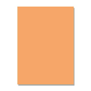 HEIKO（ヘイコー）:画用紙（カットペーパー 四ツ切 C-08 オレンジ 10枚 002165010 色画用紙 画用紙 事務用品 厚紙 がようし カラー 厚紙