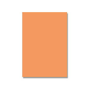 HEIKO（ヘイコー）:画用紙 （カットペーパー 八ツ切 C-08 オレンジ 10枚 002165110 色画用紙 画用紙 事務用品 厚紙 がようし カラー 厚紙 002165110