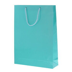 HEIKOiwCR[j 񂰎 uCgobO G2 ATM 10 006138010