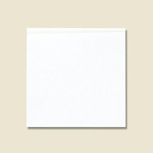 VW} o[K[ 16 n 100 004738208