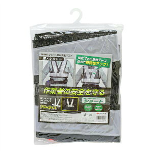 V V[gˈSxXg ×Vo[ 4907052315358