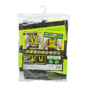 V V[gˈSxXg ×CG[ 4907052315365