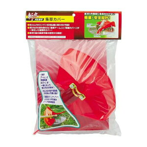 V a @pWJo[ 4907052761438 V  @  Uh~Jo[ ֗ re-gdn