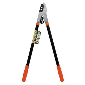 V `Fbg}  4907052717855