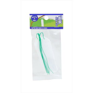 V V ݃x 4 4907052725225 V A 񂹐A O 