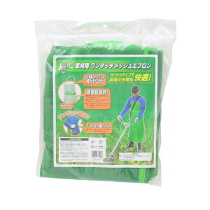 V a p^b`bVGv 4907052762008 V  @  ی