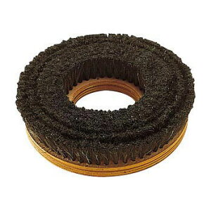 CONDORiRhj уuV 16 E-11-16 sogyo2024 Rh |V[ |bV[  uV