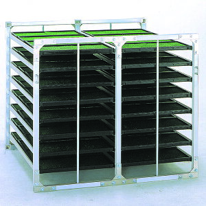 y@lzyԗzyԏnzyn搧Lzy[J[zaubW cI i[^jAR AR-64 I c 4543820828882 AR-64