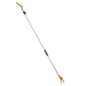 musashiiTVj |[X2i n 322