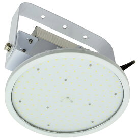 日動工業 ハイディスク100W L100V2P-HW-50K 4937305054932 電動工具 作業・警告・防犯灯