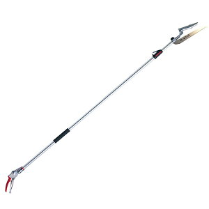 �A���X�R�[�|���[�V���� ���}���� �`���gR���� 190ZTR-3.1-5D 4965280783592 ���|���� ���}��