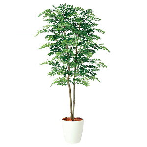 y[J[zXgAEGLXvX AJVAfA lH tFCNO[ lHϗtA150cm 61-798-98-1