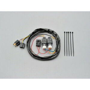 DAYTONAifCgij wbhCg[Lbg H4 1p 95438