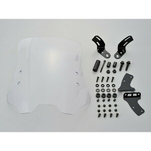 DAYTONAifCgij EChV[hRS ԎʃLbg NXJup 951