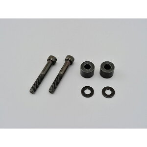 DAYTONAifCgij ThobOT|[gtLbg REBELp 97