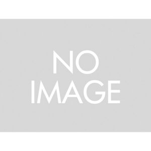 DAYTONA�i�f�C�g�i�j MC�y�C���^�[ �yX04�z �v���C�}�[�T�t�F�[�T�[ �i�V���o�[�j 686