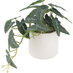 �y�n�搧���L�z�y���[�J�[�����z�s��f�� �t�F�C�N�O���[�� �A���J�V�A �Z���~�b�N�|�b�g 00041138