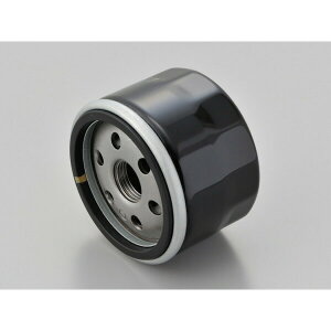 DAYTONAifCgij vCXICtB^[ S1000RR 21043