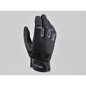 DAYTONAifCgij DG-001 tbVX^_[hO[u O[ 3