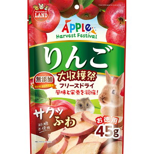 }J 񂲑n TNӂt[YhC 45g 4906456578444