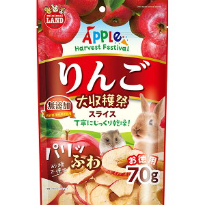 }J 񂲑n pӂXCX 70g 4906456578437