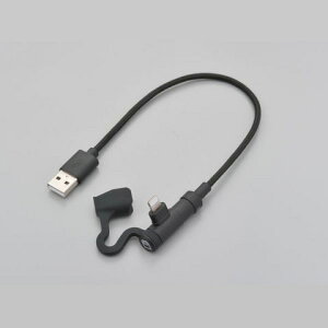 DAYTONAifCgij oCNpUSB[dP[u Type-A to Lightning 15610