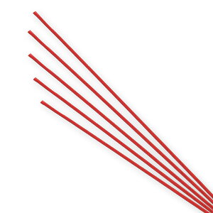 VW} @ԁ@100{ 004870510 4870510  ݂Ђ  蕨 jV