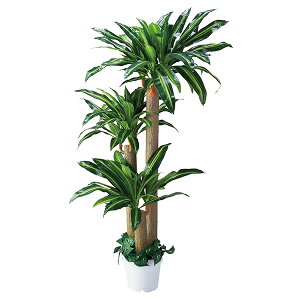 y[J[zXgAEGLXvX K̖ @180cmilH tFCNO[ lHϗtAj 61-428-24-1 tFCNO[ ϗtA tFCN A