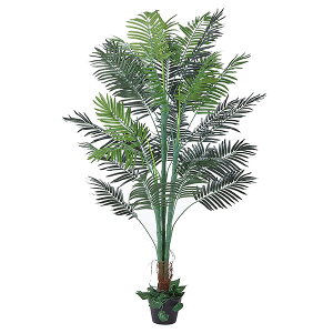 y[J[zXgAEGLXvX AJV H150cm ilH tFCNO[ lHϗtAj 61-780-34-4 tFCNO[ ϗtA tFCN A