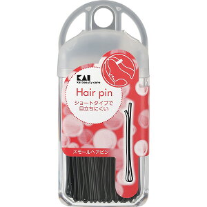 L SS X[wAs #000HL0103 4901601277647