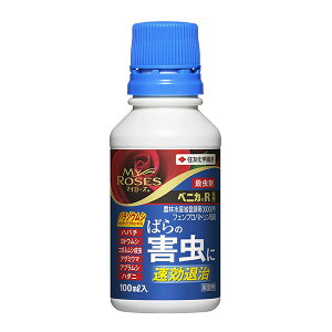 ZFw| xjJR 100ml 4975292603399