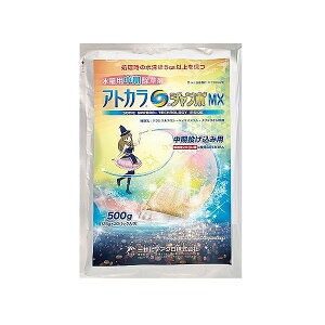 �O�䉻�w �A�g�J��S�W�����{MX �i25gx20�j 4580146533243