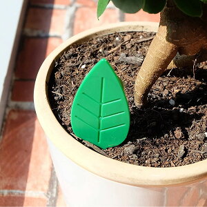 A[X y킢RoGގ S܃^Cv 4 4901080044716