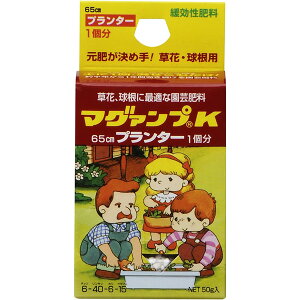 nC|lbNXWp }O@vK 50g 4977517005100