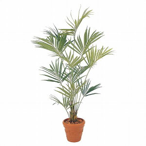 y@lzyԗzyԏnzy[J[zXgAEGLXvX lH j[P`V tFCNO[ lHϗtA 210cm 61-765-5-1