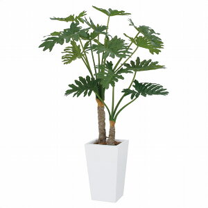 y@lzyԗzyԏnzy[J[zXgAEGLXvX lH Z[2{ tFCNO[ lHϗtA 140cm 61-765-32-1