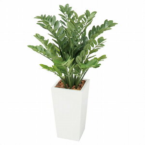 y@lzyԗzyԏnzy[J[zXgAEGLXvX lH j[U~A tFCNO[ lHϗtA@100cm 61-765-35-1