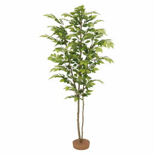 y@lzyԗzyԏnzy[J[zXgAEGLXvX lH PL tFCNO[ lHϗtA 180cm 1 61-766-29-1