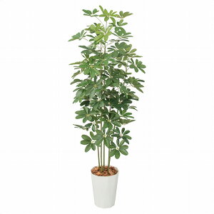 y@lzyԗzyԏnzy[J[zXgAEGLXvX lH VFt tFCNO[ lHϗtA 170cm 1 61-766-34-1