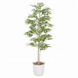 y@lzyԗzyԏnzy[J[zXgAEGLXvX lH S[f[t tFCNO[ lHϗtA 150cm 61-766-42-1