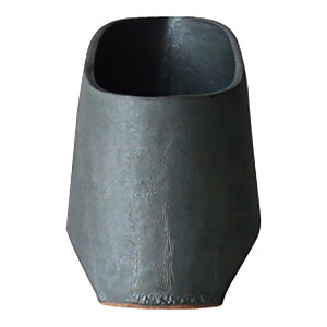 EBM TSUKI H Sake picheriЌj 3012730