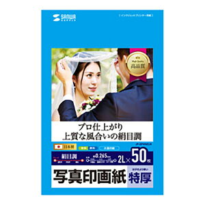 �T�����T�v���C �C���N�W�F�b�g�ʐ^��掆�E���� JP-EP4N2LN